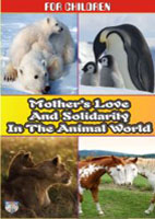 Mothers Love And Solidarity In The Animal World: