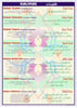 click to see more